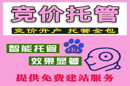 sem托管服务案例：助力企业实现低成本高转化